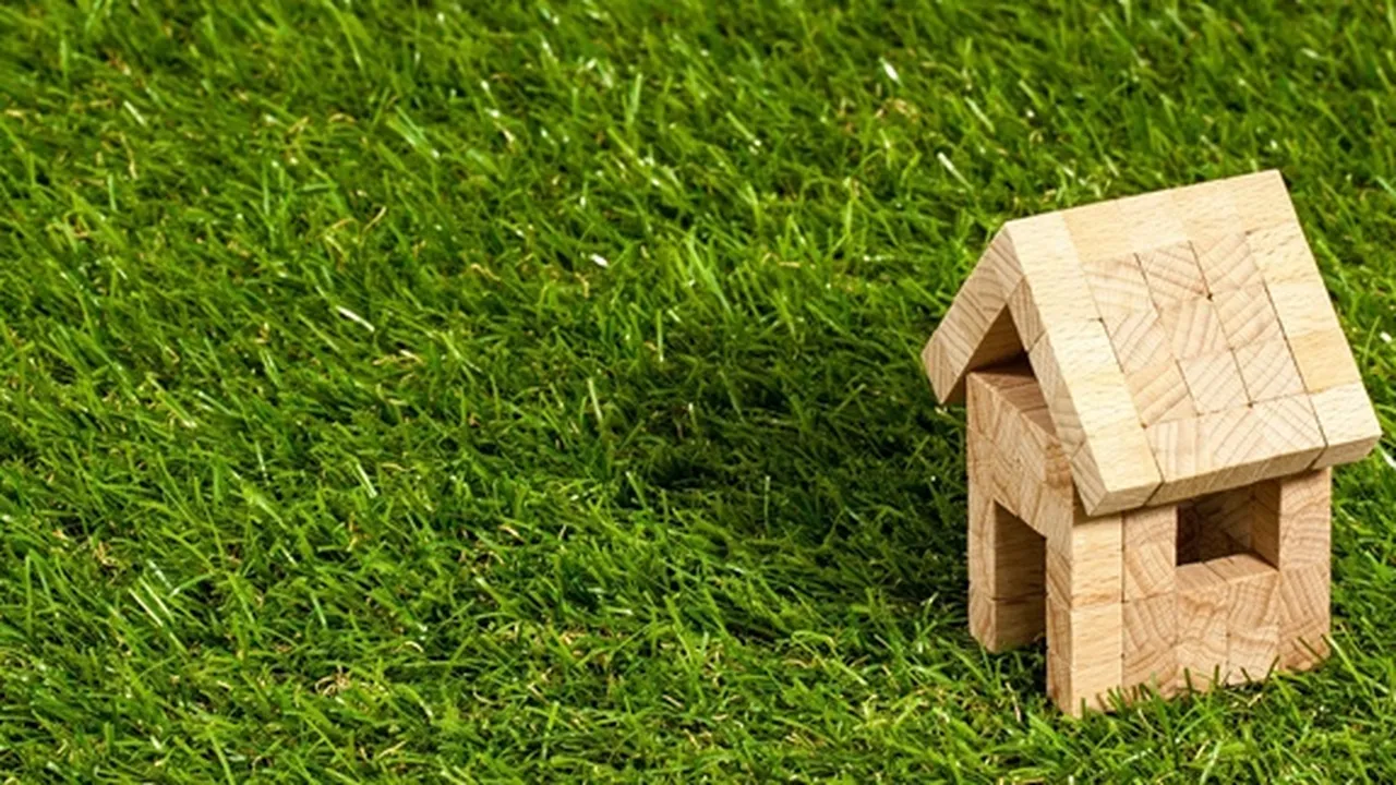 9 Jenis-jenis Rumput untuk Pekarangan Rumah, Bikin Suasana Asri