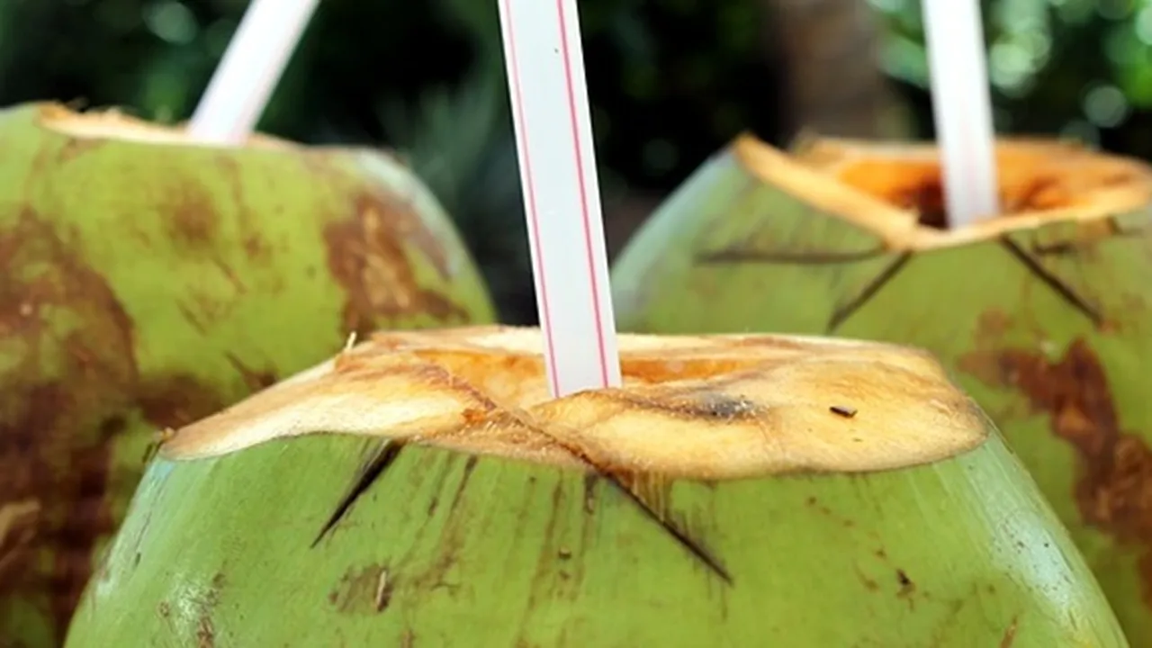 9 Manfaat Air Kelapa Muda untuk Kesehatan dan Kecantikan, Cegah Dehidrasi - Penuaan Dini