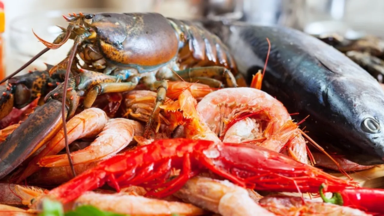 9 Manfaat Seafood Bagi Kesehatan Tubuh, Meningkatkan Kesuburan - Mengurangi Radang Sendi