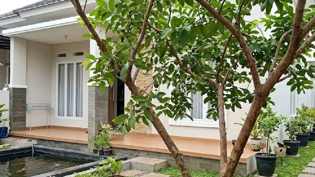 9 Pohon Buah yang Lebih Jarang Didatangi Kelelawar, Cocok Ditanam di Pekarangan Rumah