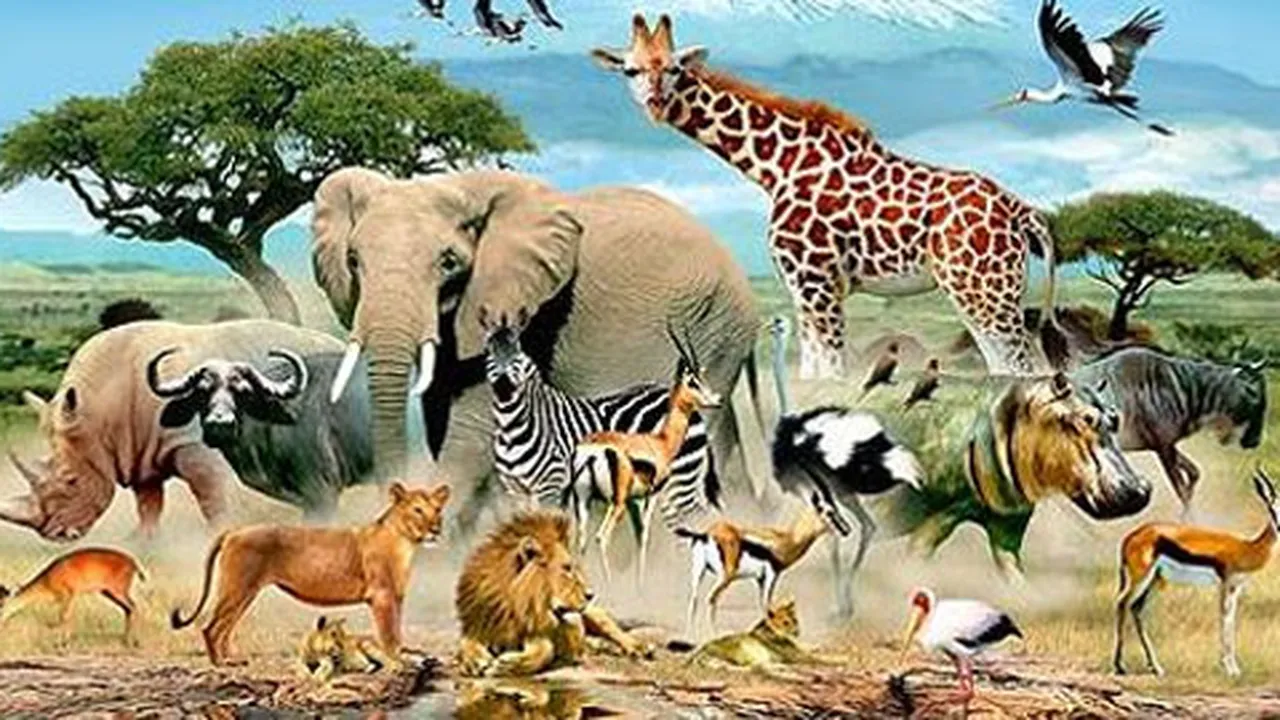 9 Video Klip Pilihan Untuk Rayakan World Animal Day