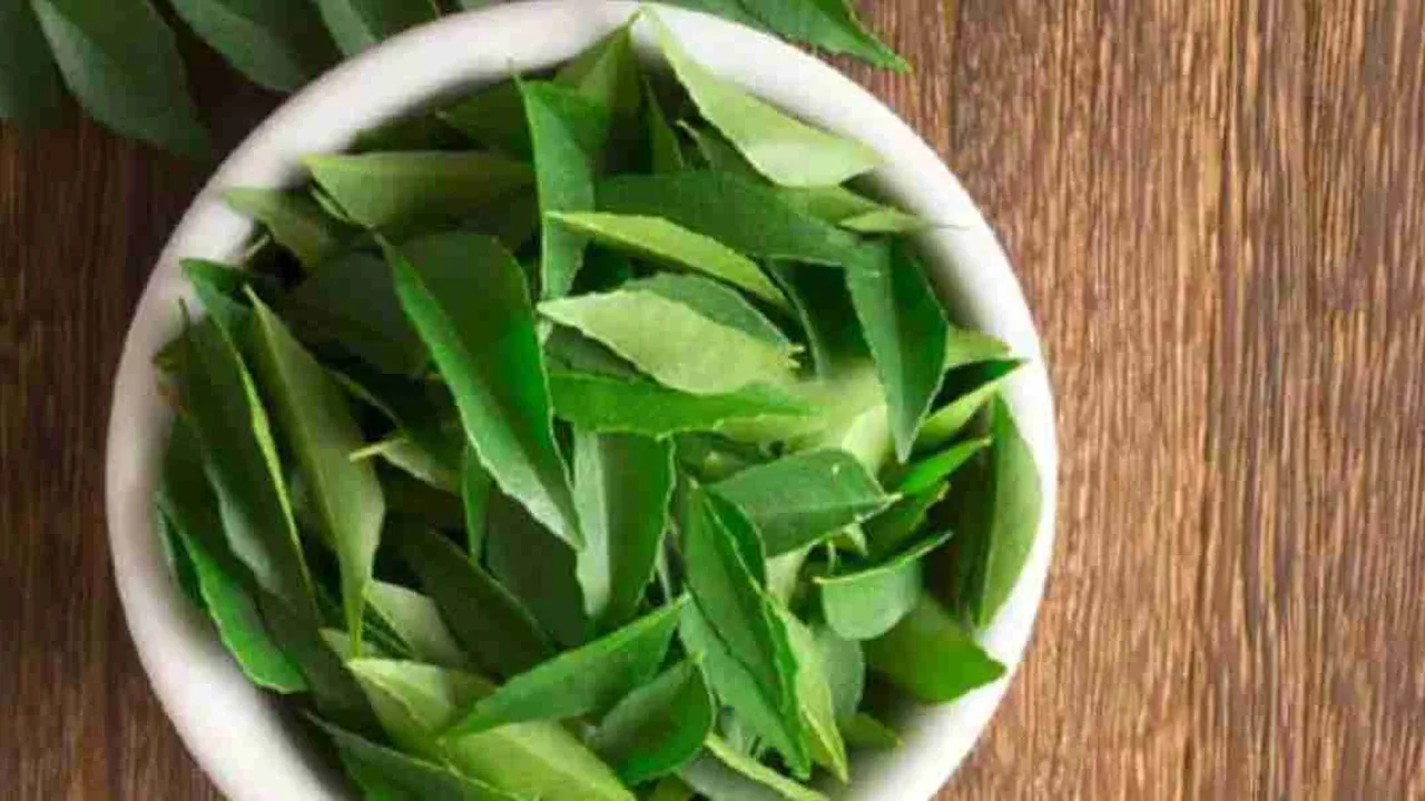 Agar Tak Mudah Kering, Begini Cara Menyimpan Daun Jeruk dan Salam di Rumah
