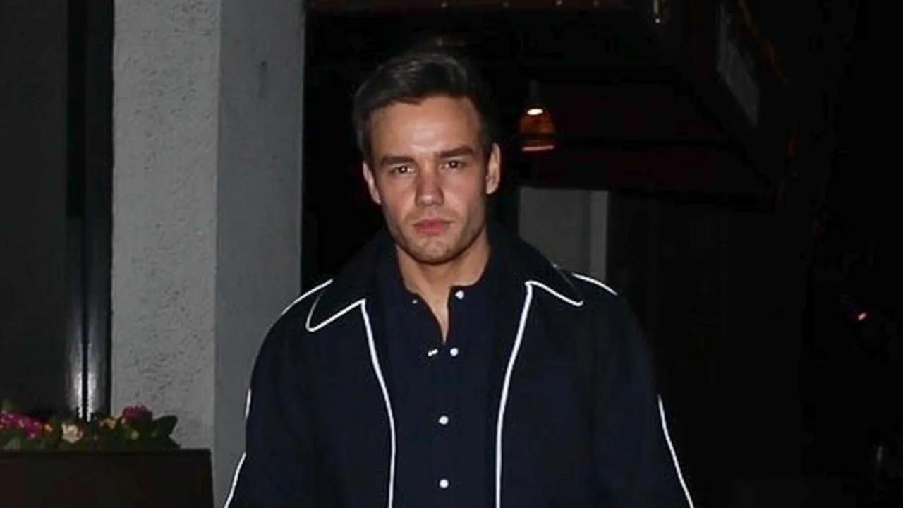 Warisan Liam Payne Resmi Jatuh ke Putranya, Bear Grey Payne Kantongi Aset Sekitar Rp517 Miliar