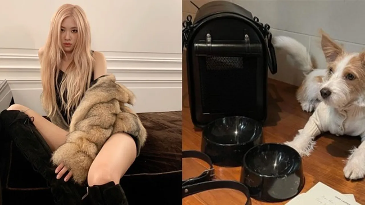 Anjing Peliharaan Rose BLACKPINK Dapat Hadiah Natal Mewah, Netizen Menangis Lihat Harganya