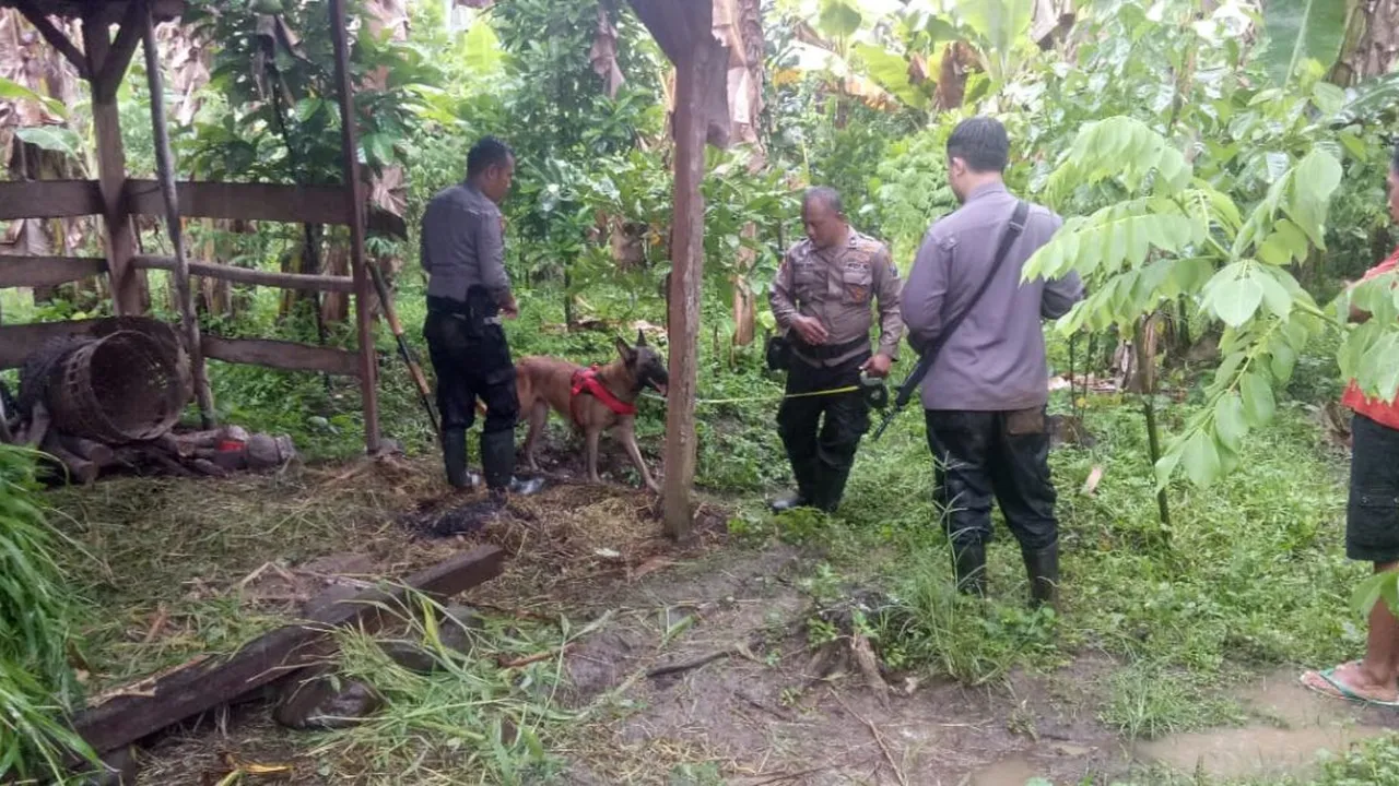 Anjing Unit K9 Diterjunkan untuk Pengejaran Pelaku Pembunuhan Ibu 2 Anak di Malang
