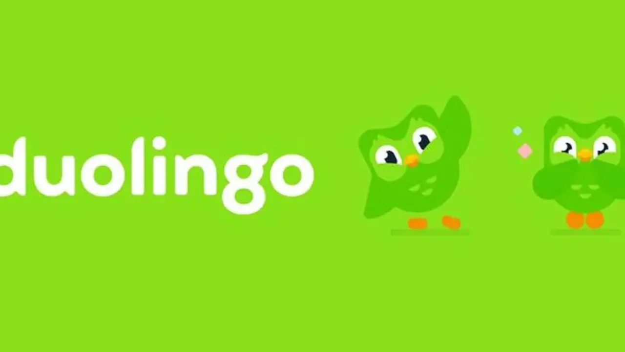 Apa Itu Duolingo? Aplikasi Belajar Bahasa yang Viral Gara-gara Kematian Si Burung Hantu