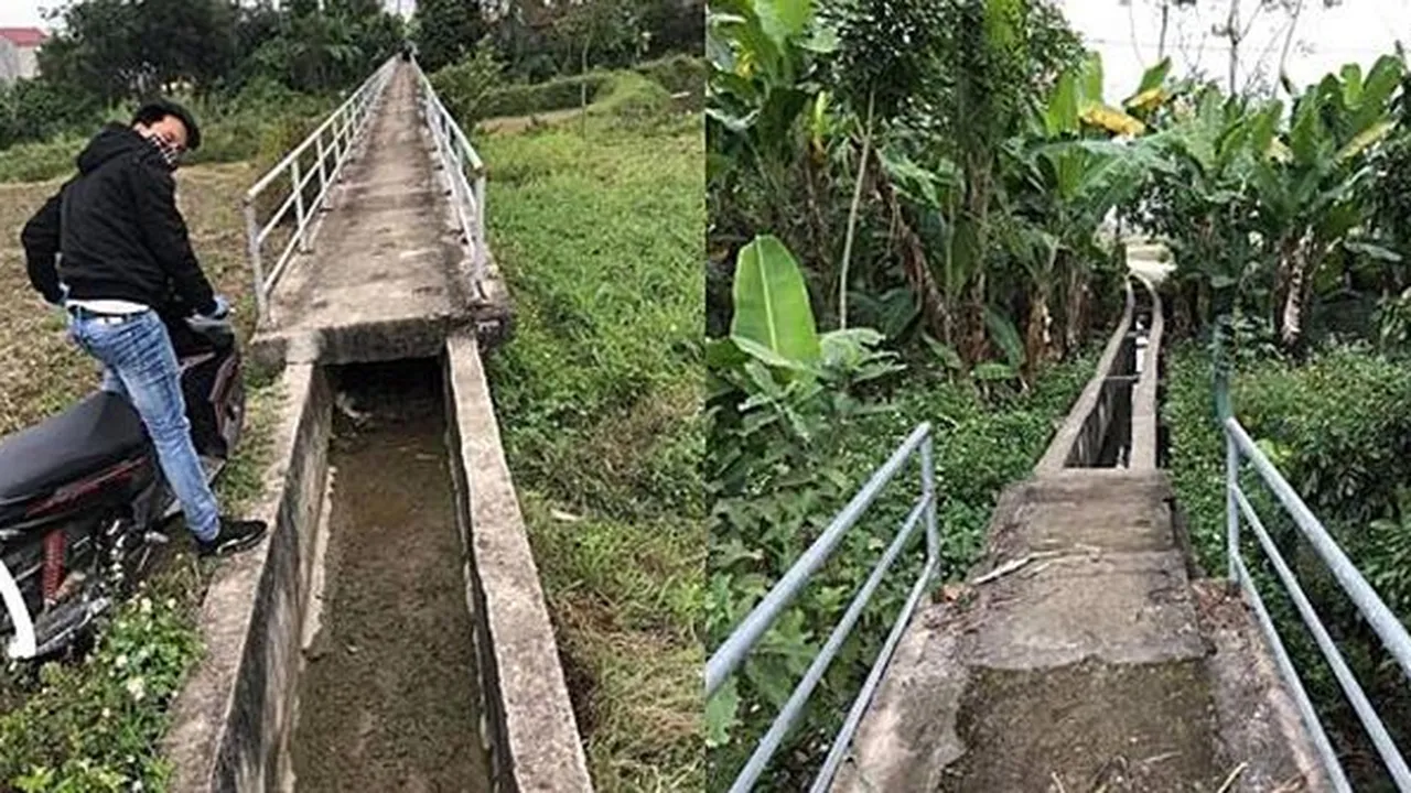 Apes, Pria Ini Ikuti Saran Google Maps Malah Nyasar Lewati Parit dan Sawah
