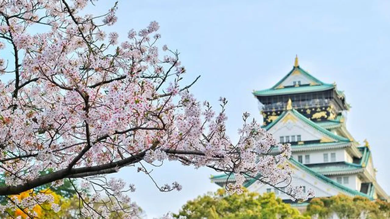 Arti Ganbatte Adalah Kata Penyemangat dalam Bahasa Jepang, Ketahui Juga Ungkapan Semangat Lainnya
