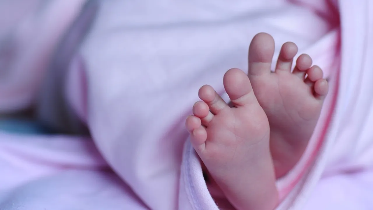 Arti Nama Aqila Beserta Nama Bayi Perempuan Islami Lainnya