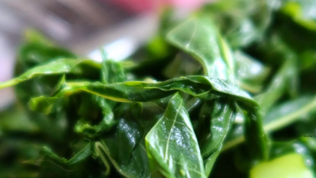 Baking Soda dan Cuka, Kunci Daun Singkong Tetap Cantik Saat Direbus