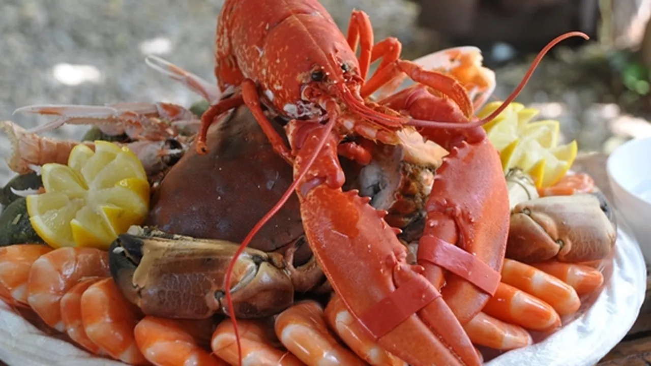 Hindari Makan Seafood Terlalu Sering, Ini 5 Makanan yang Baik Dikonsumsi Agar Kolesterol Turun