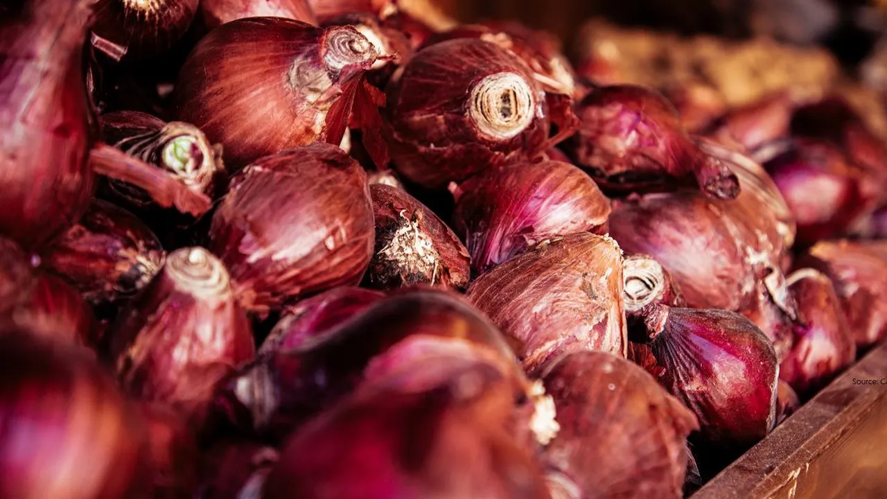 Bawang Merah Sering Busuk? Begini Solusi Sederhananya