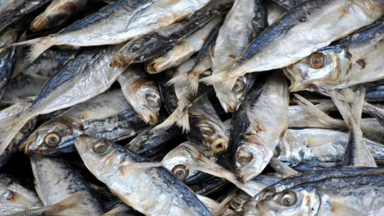Begini Cara Aman Menyantap Ikan Bebas Formalin di Rumah