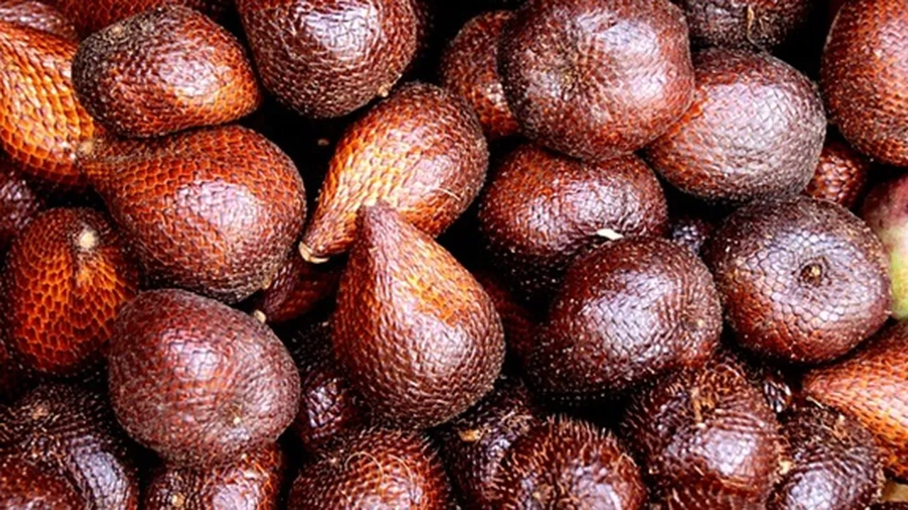 Belum Banyak yang Tahu Ini 8 Manfaat Buah Salak untuk Kesehatan, Bisa Turunkan Berat Badan