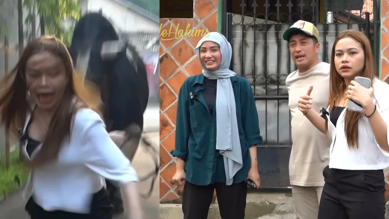 Panik! Detik-Detik Lady Rara Diseruduk Sapi Condrosimo Saat Main Ke Rumah Irfan Hakim