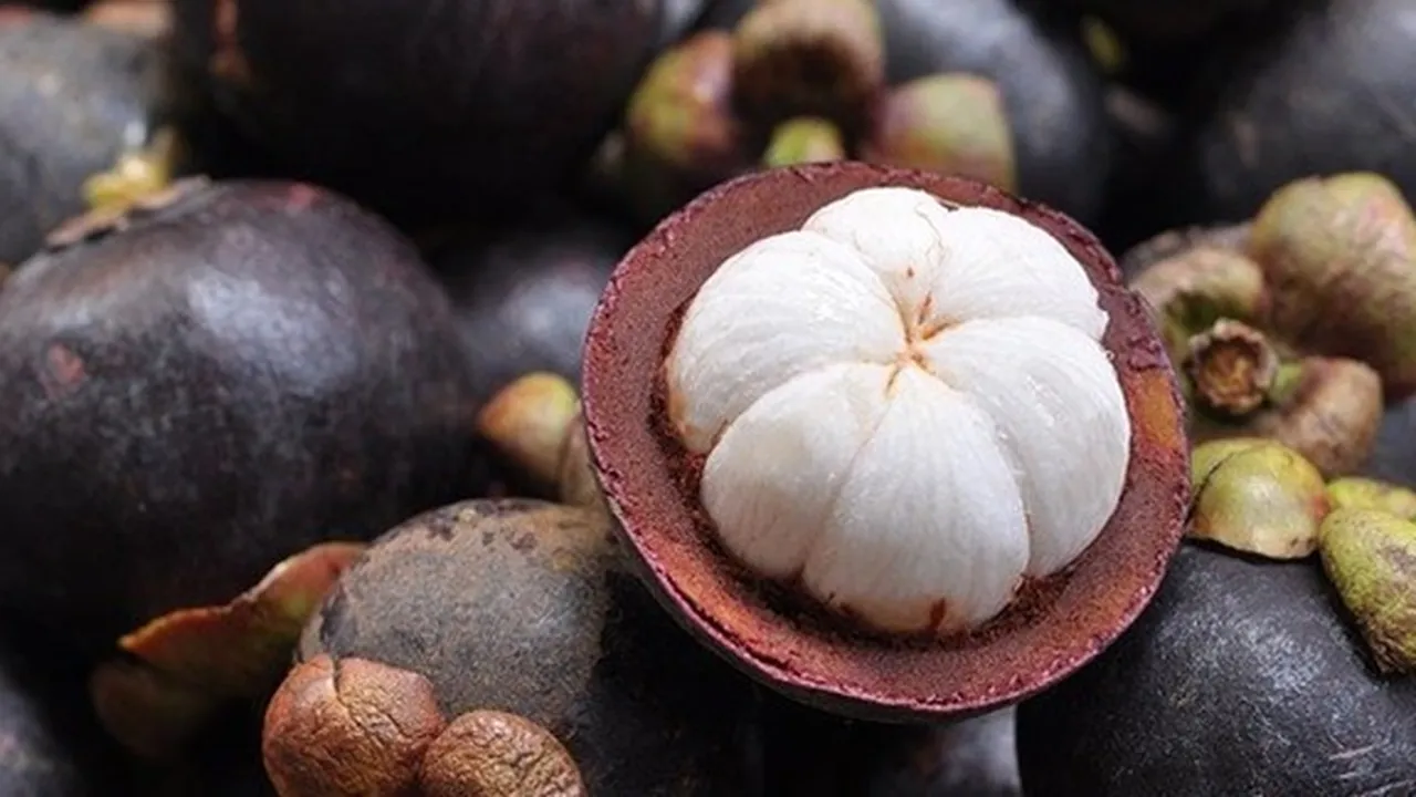 Buah Kaya Khasiat Inilah 9 Manfaat Manggis untuk Kesehatan, Menyehatkan Mata - Jantung