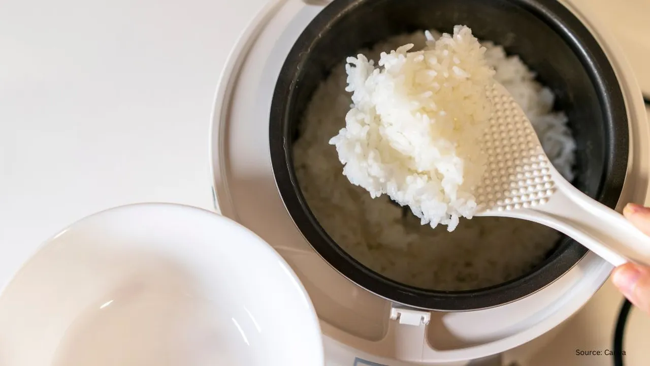 Bukan Minyak Goreng, Ini Cara Baru Agar Nasi di Rice Cooker Tidak Cepat Basi