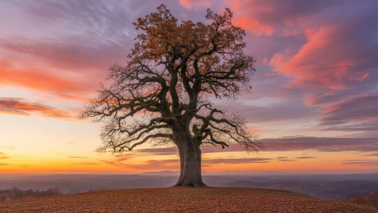 Caption Sunset: Kumpulan Kata-kata Indah untuk Foto Matahari Terbenam