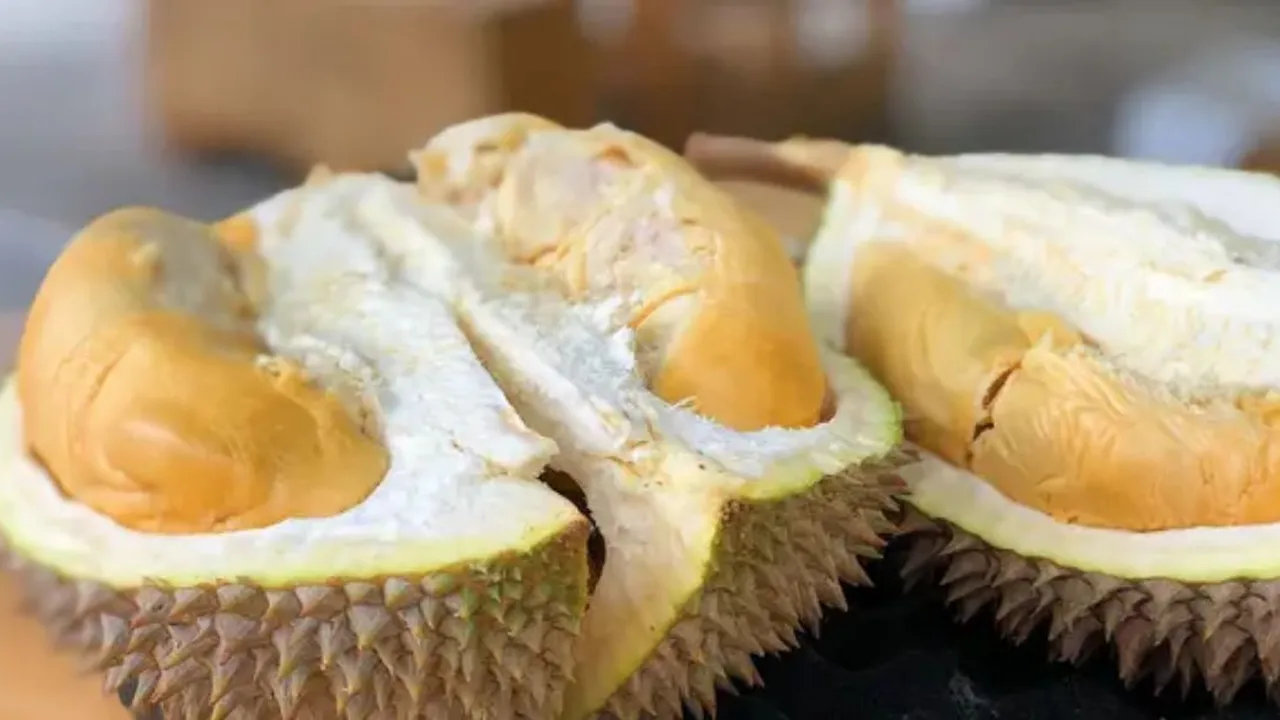 Car Menikmati Durian Tanpa Khawatir Kolesterol, Wajib Coba
