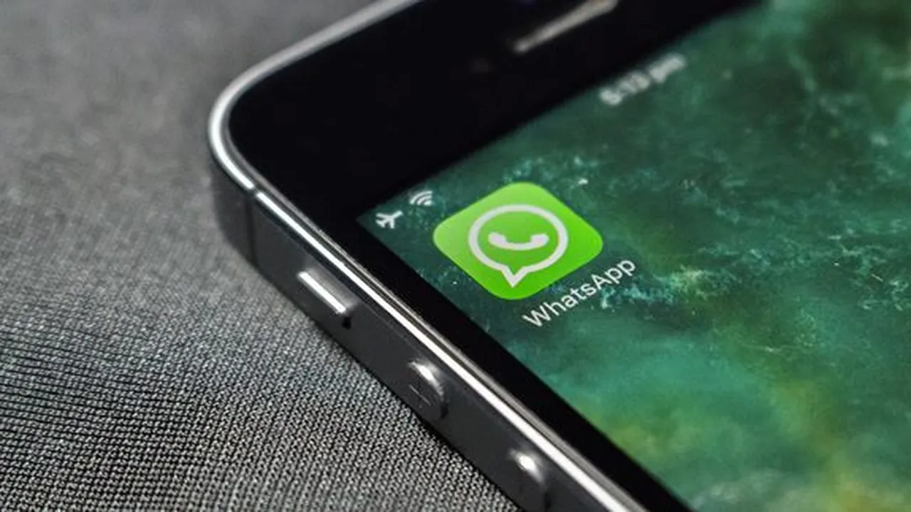 Cara Backup Whatsapp yang Mudah dan Tepat, Lewat Android, Iphone Hingga PC