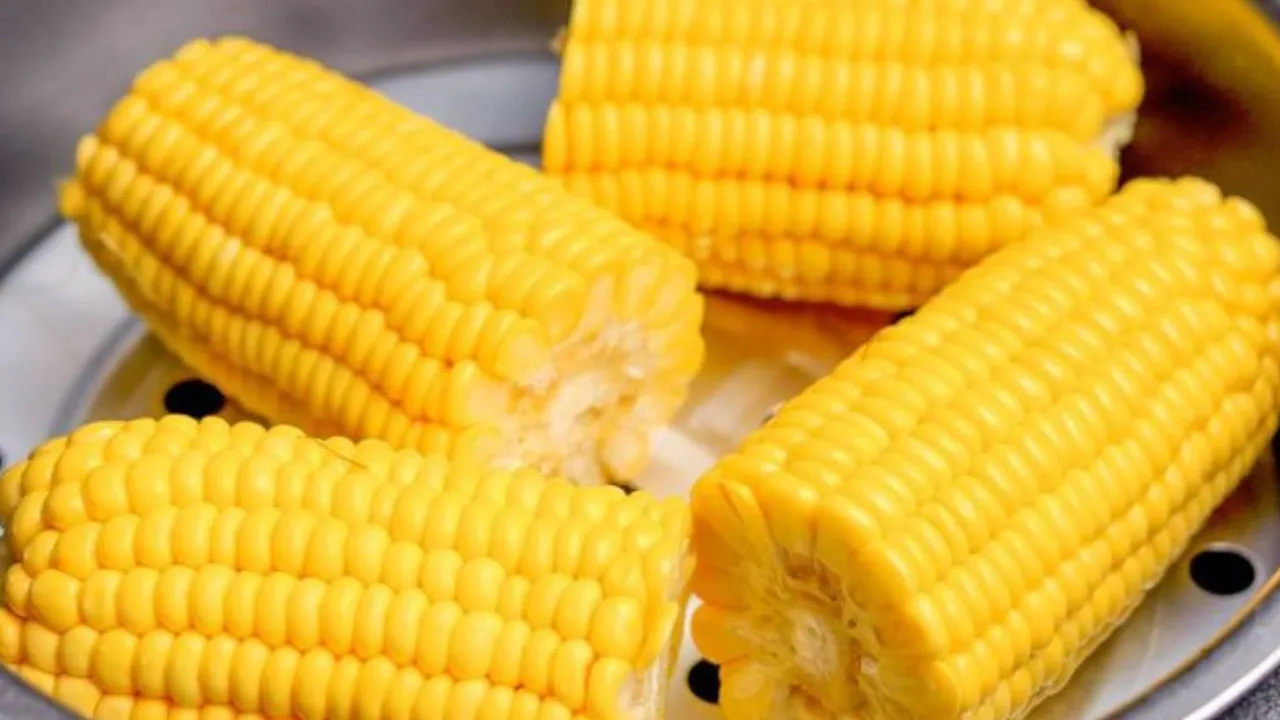 Cara Hemat Gas Merebus Jagung Lembut dalam Waktu Singkat