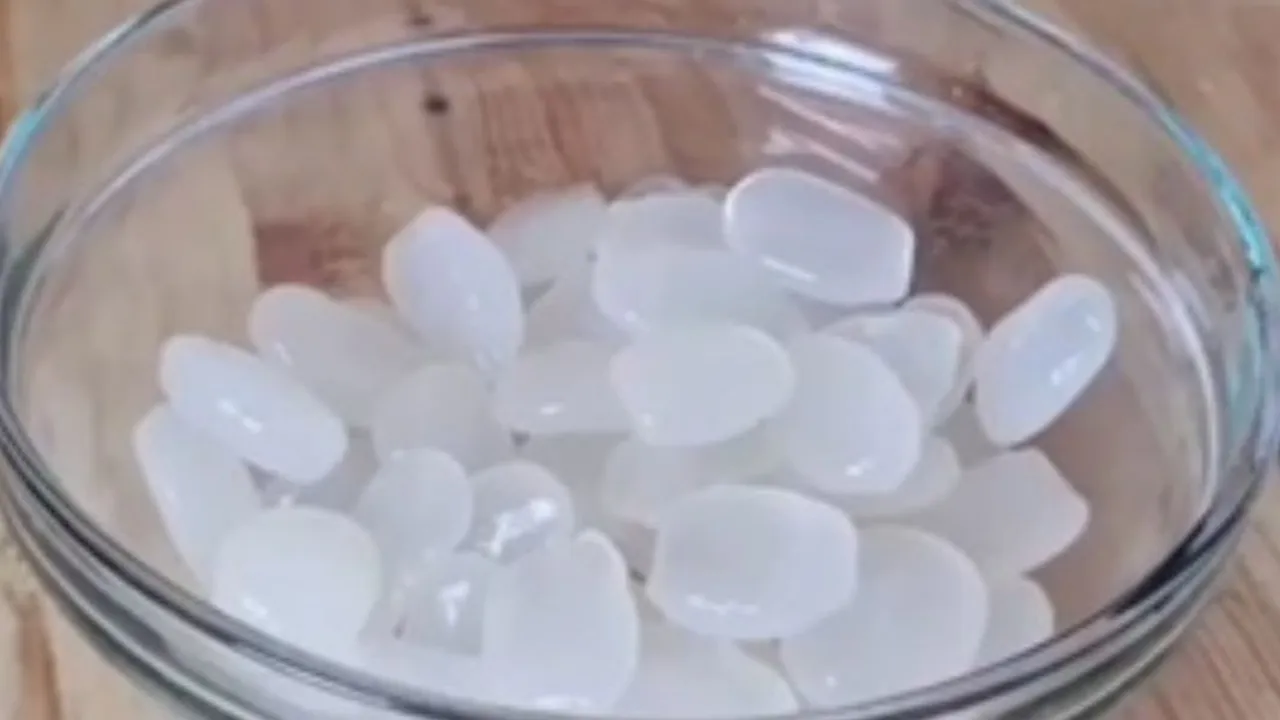 Cara Memasak Kolang-Kaling Tanpa Lendir Hanya dengan 1 Bahan Sederhana