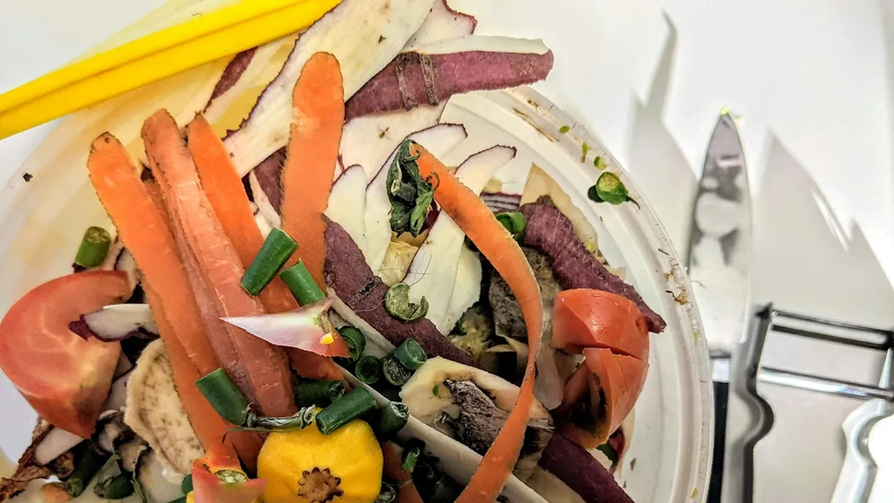 Cara Membuat Eco Enzyme dari Sisa Buah dan Sayur, Punya Banyak Manfaat