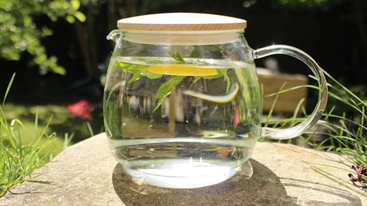 Cara Membuat Infused Water yang Mudah, Berkhasiat untuk Kesehatan dan Kecantikan