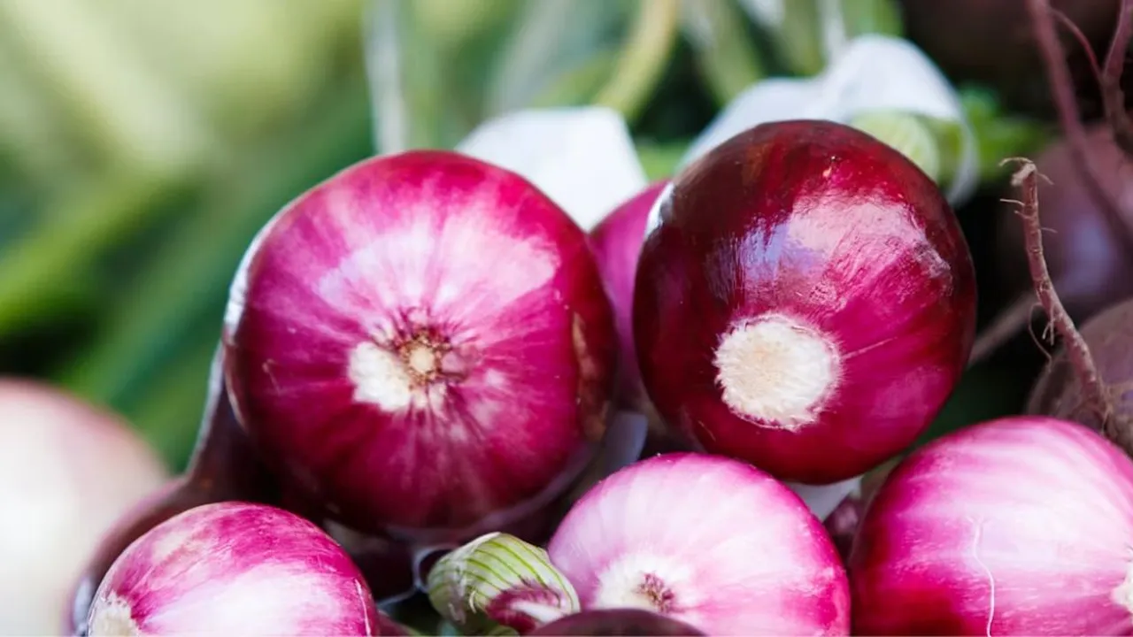 Cara Menanam Bawang Merah Tanpa Lahan Luas, Solusi Cerdas untuk Panen Berkualitas