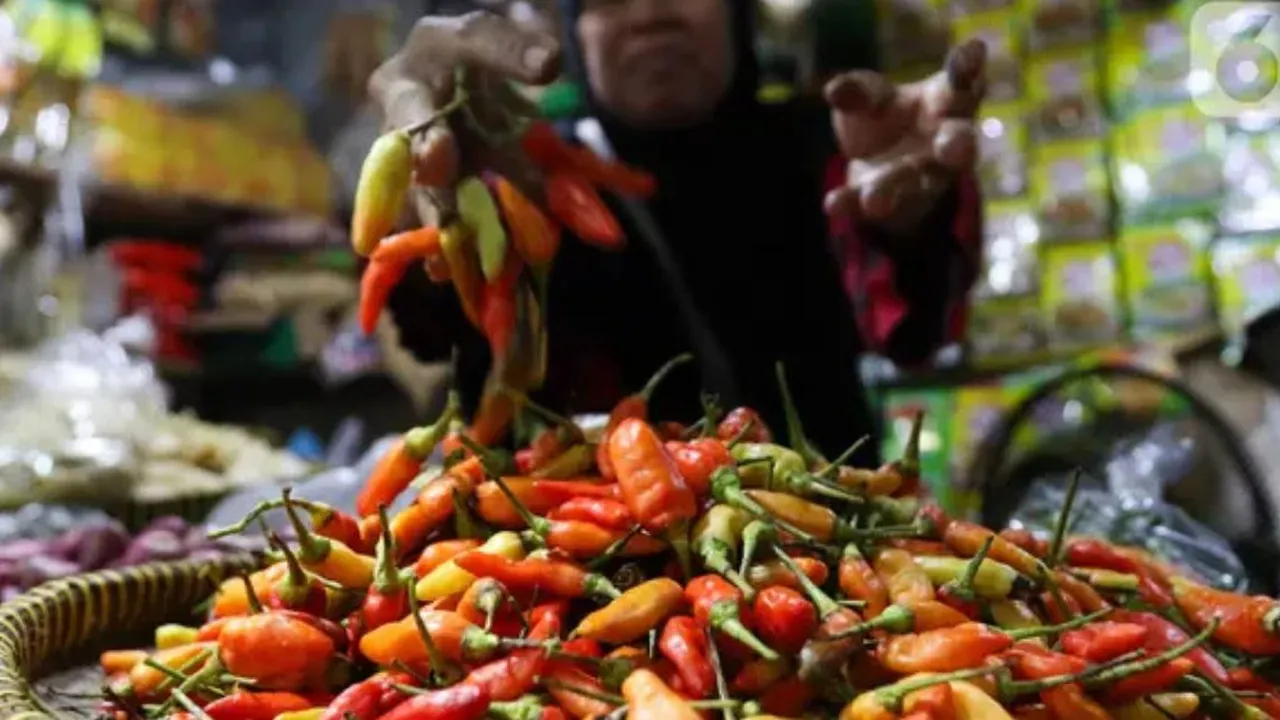 Cara Menyimpan Cabai Agar Tetap Segar Hingga 2 Bulan Tanpa Freezer, Cukup Pakai Bahan Ini