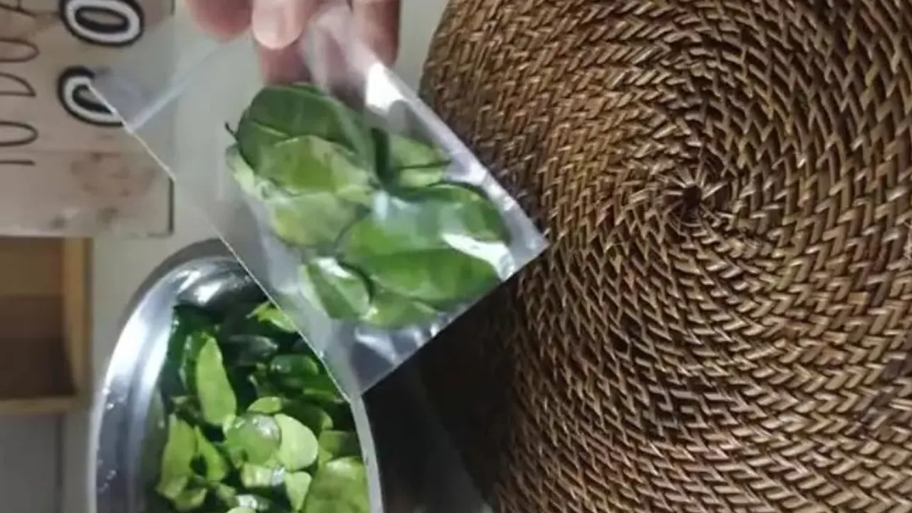 Cara Menyimpan Daun Jeruk, Tetap Segar dan Tahan Lama Hingga Tiga Bulan