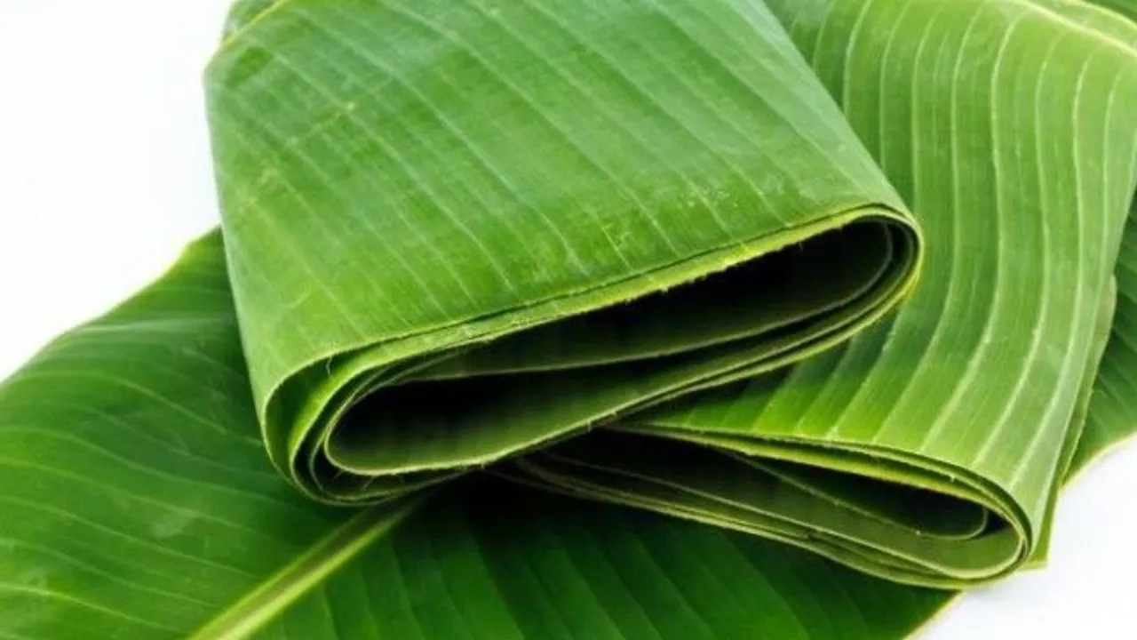 Cara Menyimpan Daun Pisang Supaya Bertahan Lama