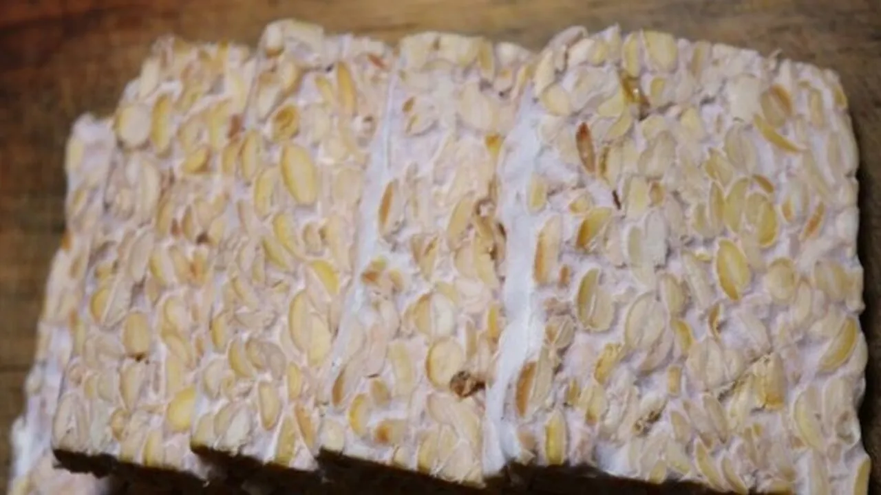 Cara Menyimpan Tempe agar Awet Berbulan-bulan, Dijamin Tanpa Bau