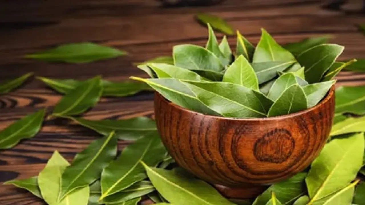 Cara Menyusutkan Kolesterol dan Asam Urat dengan 8 Daun Ajaib, Rahasia Menyeduh yang Harus Kamu Coba Cara Menyusutkan Kolesterol dan Asam Urat dengan 8 Daun Ajaib, Rahasia Menyeduh yang Harus Kamu Coba