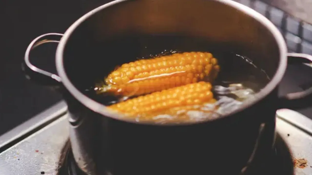 Cara Merebus Jagung dengan Waktu Sempurna untuk Nutrisi Maksimal