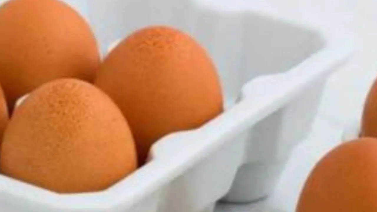 Cara Mudah Menghangatkan Telur dari Kulkas ke Suhu Ruang Hanya dalam 2 Menit