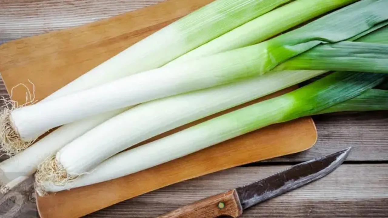 Cara Praktis Menyimpan Daun Bawang dan Seledri dengan Hasil Maksimal