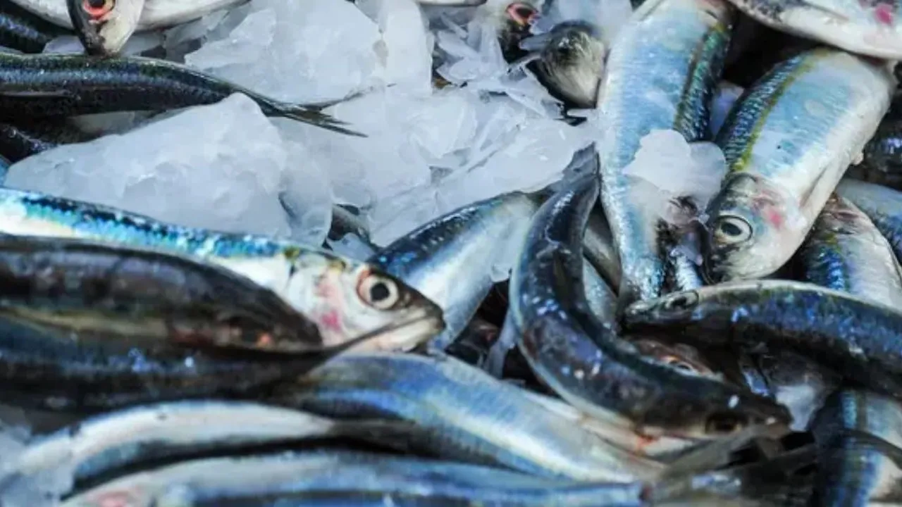Cara Sederhana Menghapus Formalin dari Ikan Segar, Cukup Pakai 1 Bahan Dapur Ini