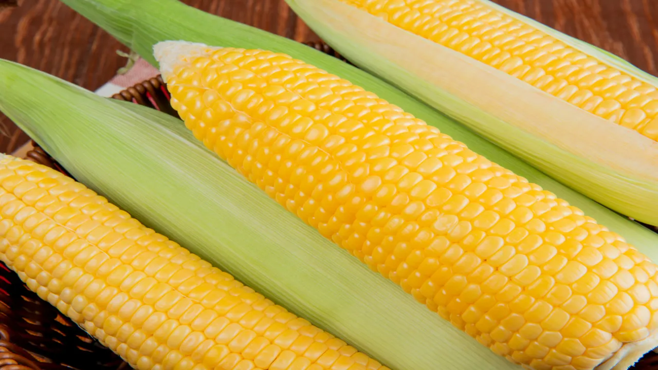 Cara Sederhana Mengolah Jagung Rebus yang Manis dan Bergizi