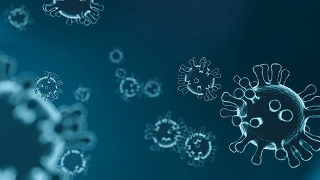 Cara Virus Corona Covid-19 Menyerang Tubuh Manusia, Berikut Tips Menghalaunya