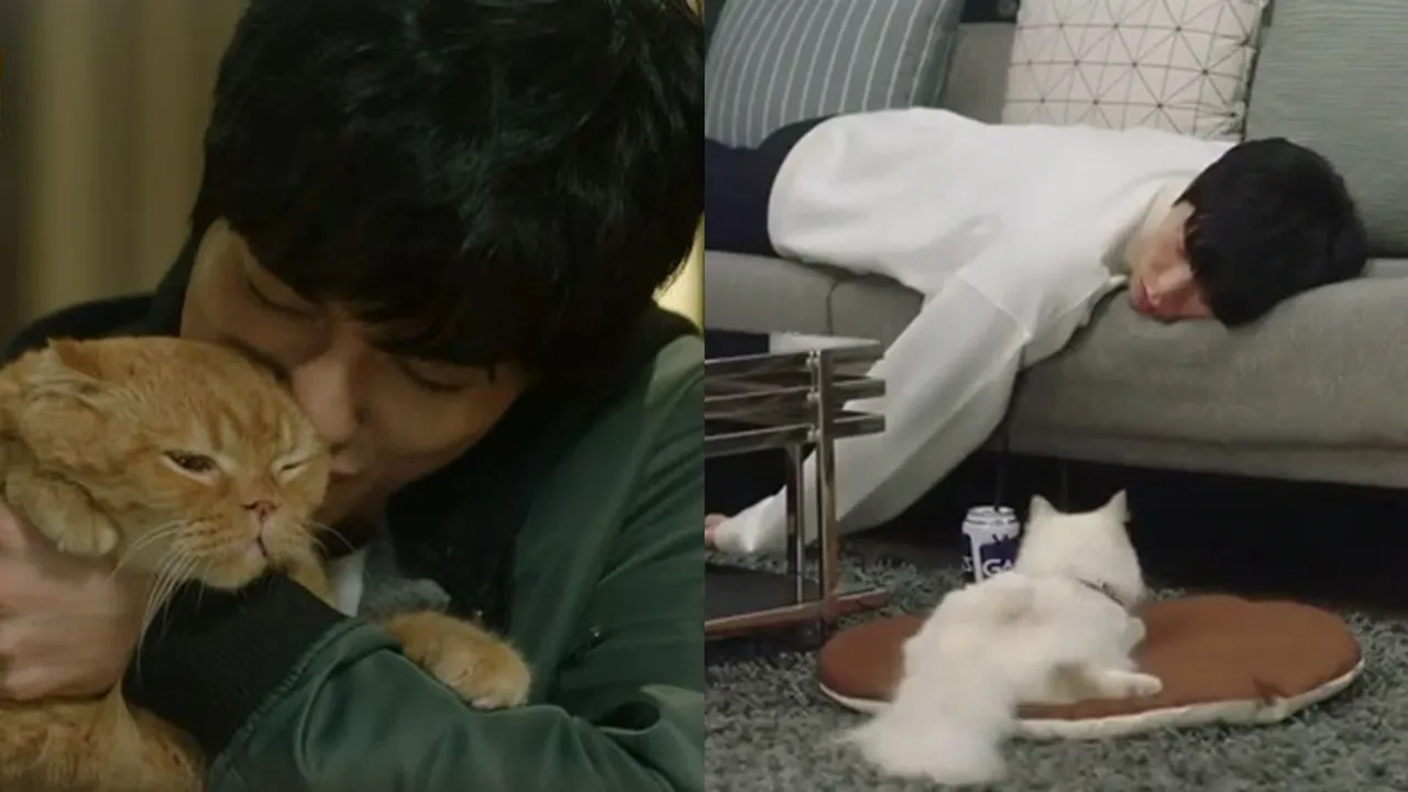 Cat Lovers Merapat, Ini 4 Drama Korea untuk Pecinta Kucing dengan Scene Penuh Anabul Unyu Cat Lovers Merapat, Ini 4 Drama Korea untuk Pecinta Kucing dengan Scene Penuh Anabul Unyu