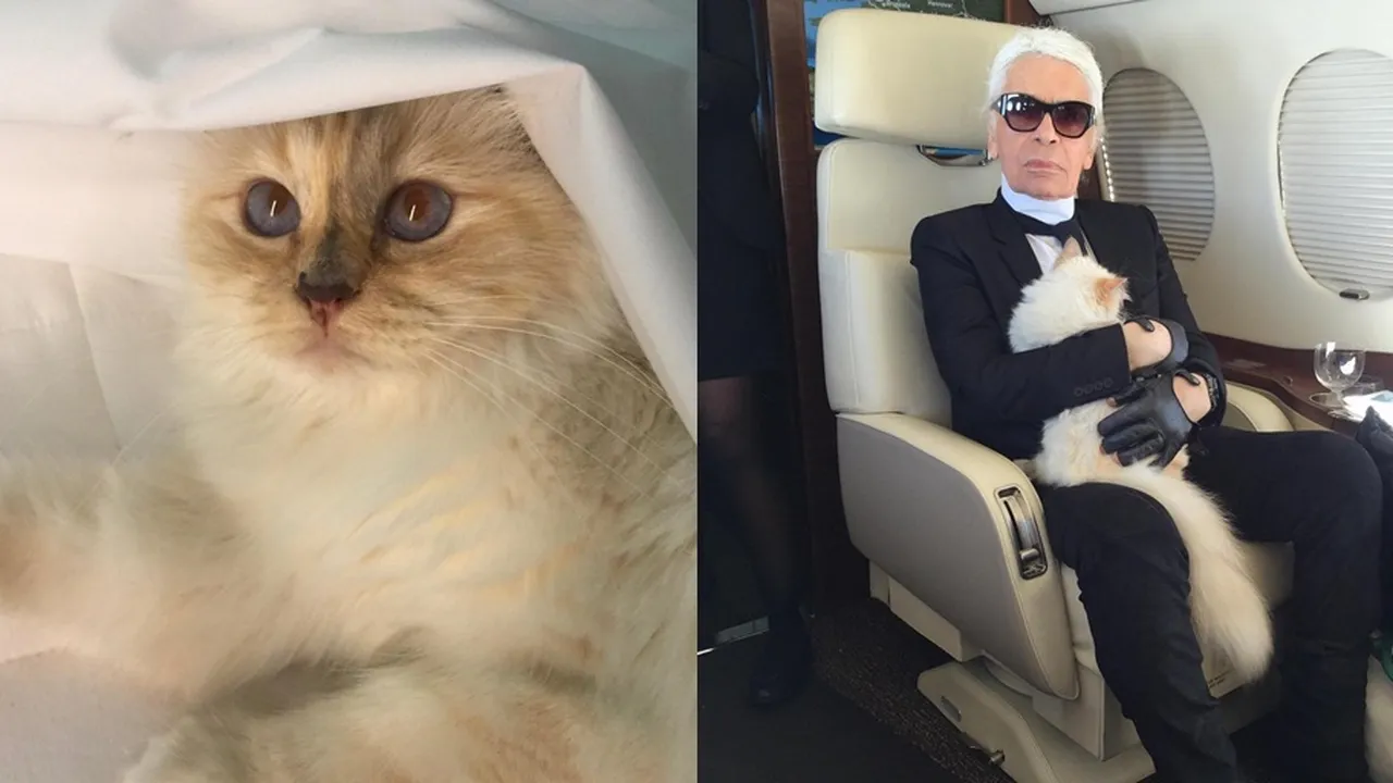 Choupette, Kucing Karl Lagerfeld Dapat Warisan Triliunan Rupiah?