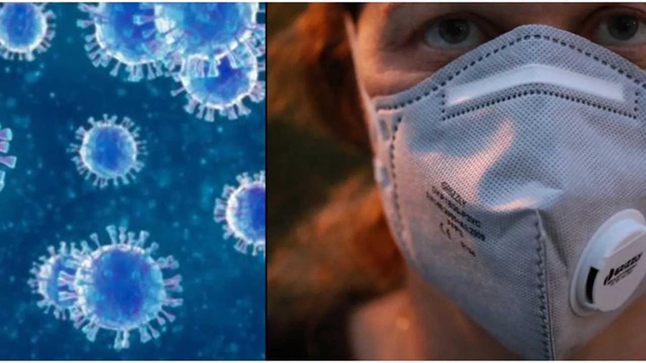 Corona Covid-19 Belum Mereda Muncul Hantavirus dari China, Virus Apa Itu ?