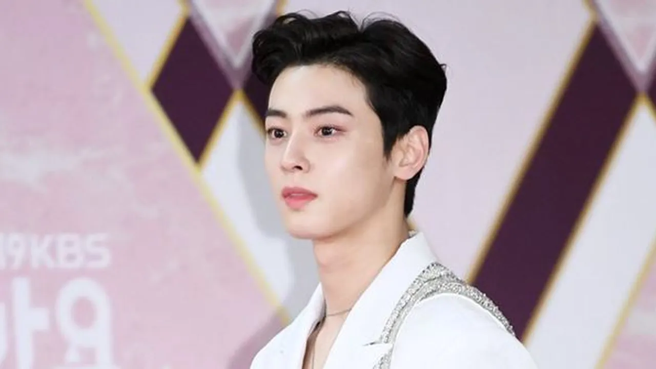 Dapat Excellence Award di 'MBC Drama Awards 2019', Akting Cha Eun Woo Dikritik Pedas