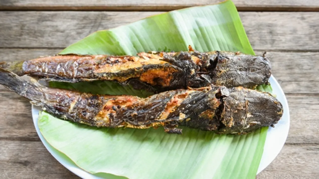 Tak Sekedar Enak, Ini 8 Manfaat Ikan Lele Bagi Kesehatan Tubuh