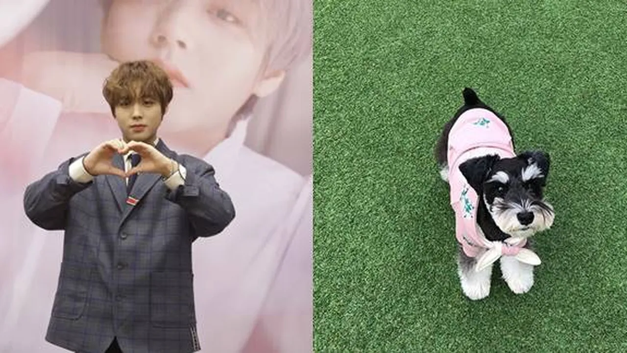 Ditanya Makna May, Keluarga, atau Max, Park Jihoon Beri Jawaban Menyentuh