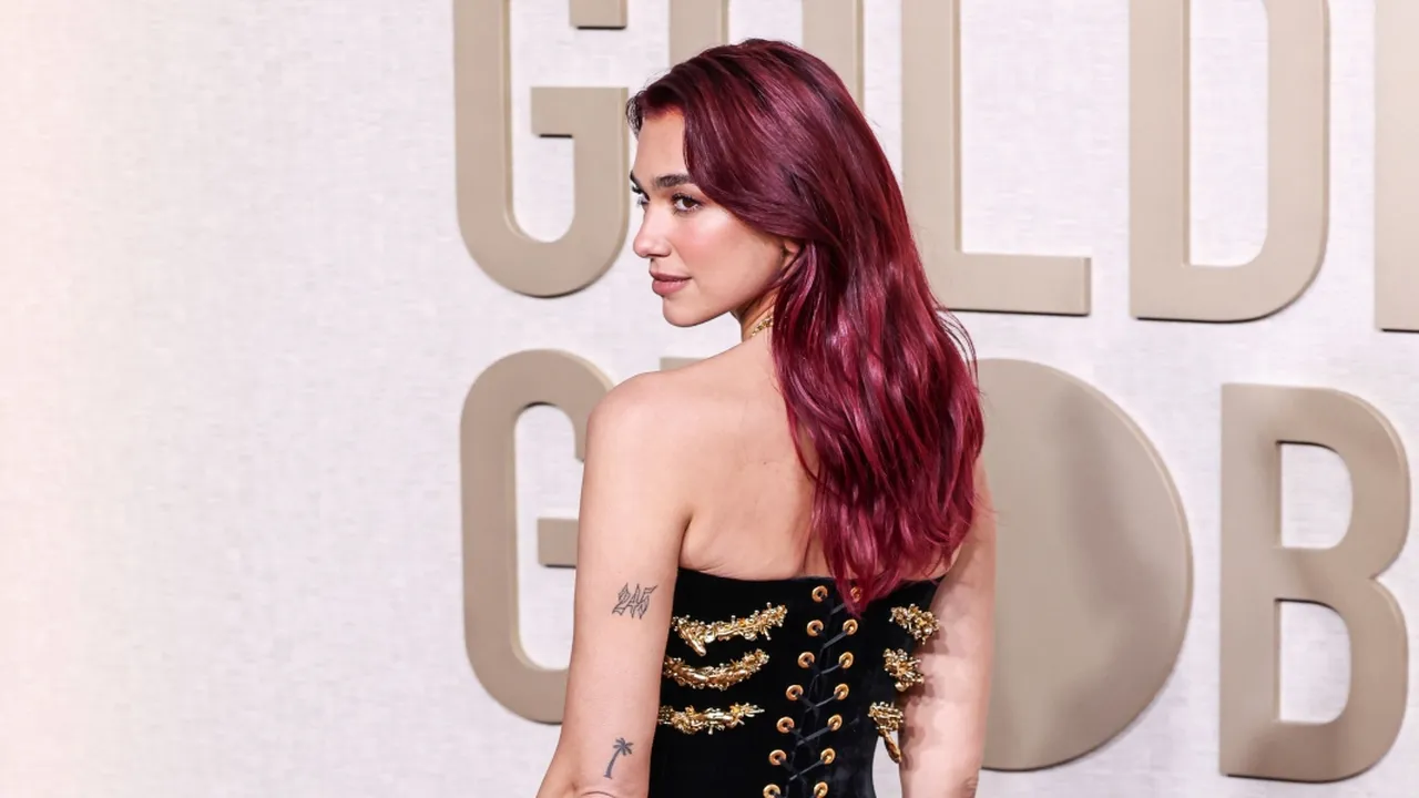 Dua Lipa Dirikan Perpustakaan, Isinya Penuh Buku Terlarang Atau yang Pernah Disensor