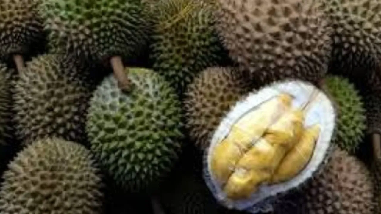Durian Tinggi Kolesterol? Ini Fakta dan Tips Konsumsi yang Aman
