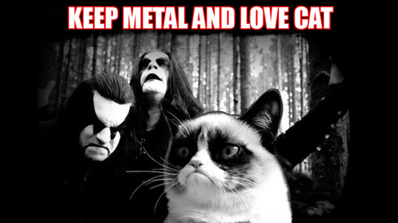 [Foto Failed] Penggemar Metal, Tapi Juga Penyayang Kucing