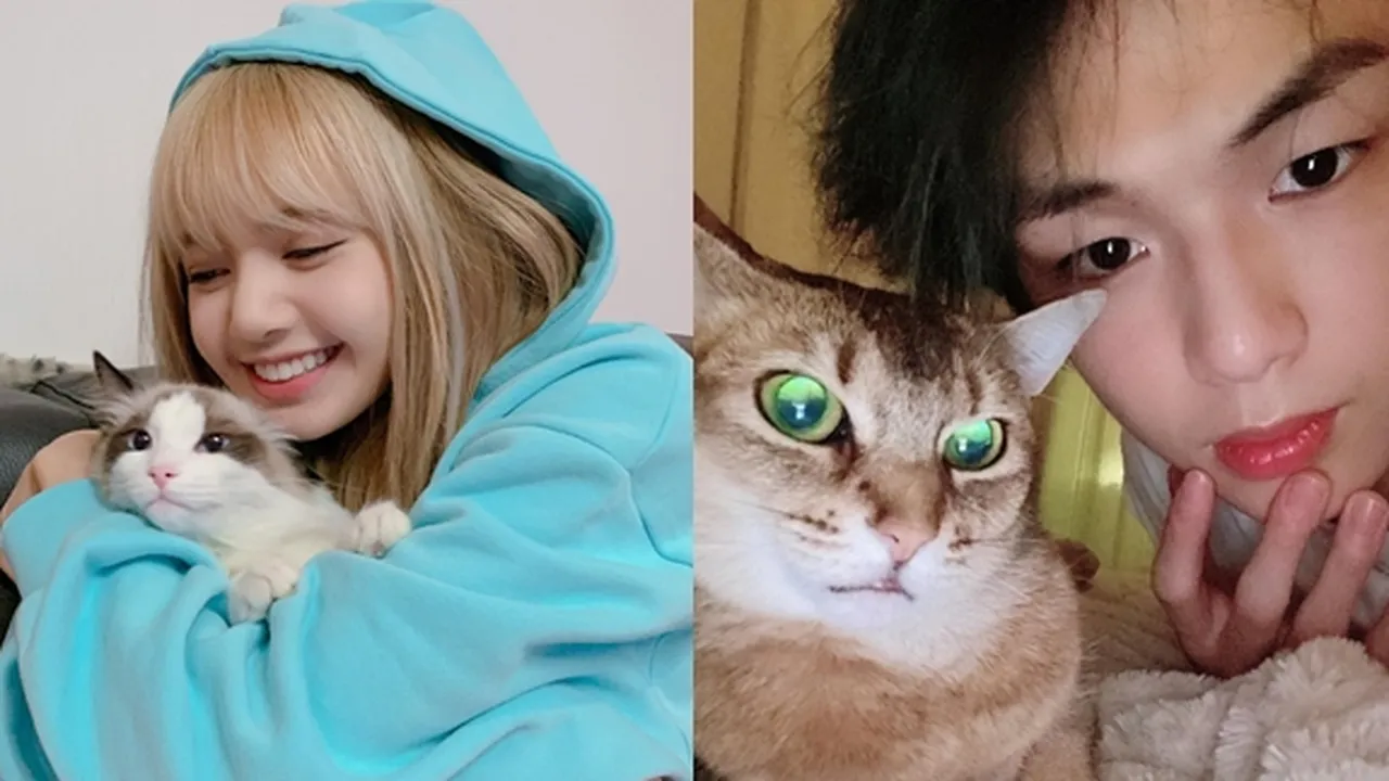 8 Idol K-Pop Pecinta Kucing, Momen Kebersamaan Mereka Bikin Gemas - Jadi Sosok Penyayang